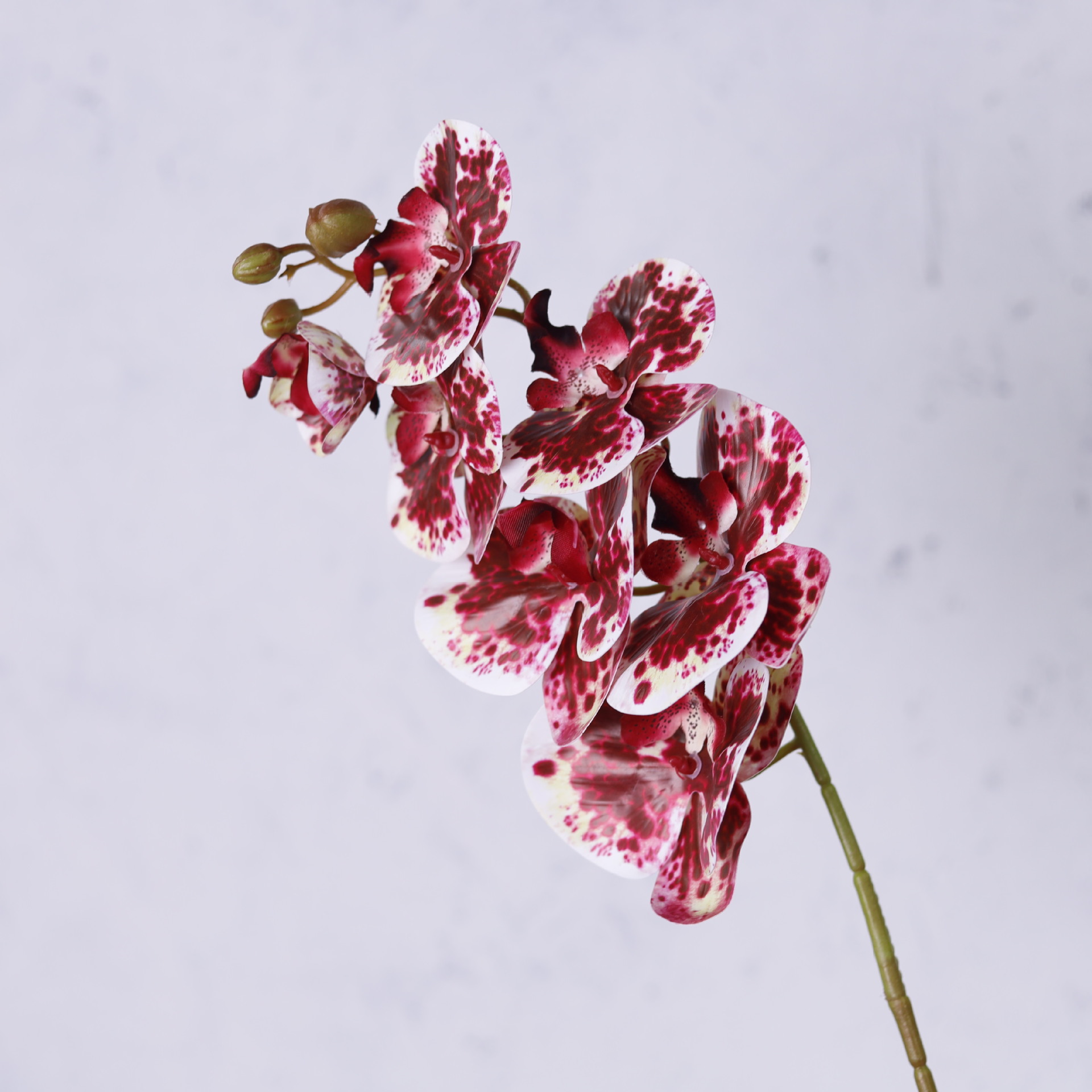 Impresión 3D de 7 cabezas de orquídeas mariposa flor de decoración de flores de alto nivel flor de nicho decoración floral decoración de sala de estar