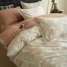 �ﶬ�Ӻ���ĥë�����ļ���100ȫ�޴��α��׌W������߼��д�Ʒ4