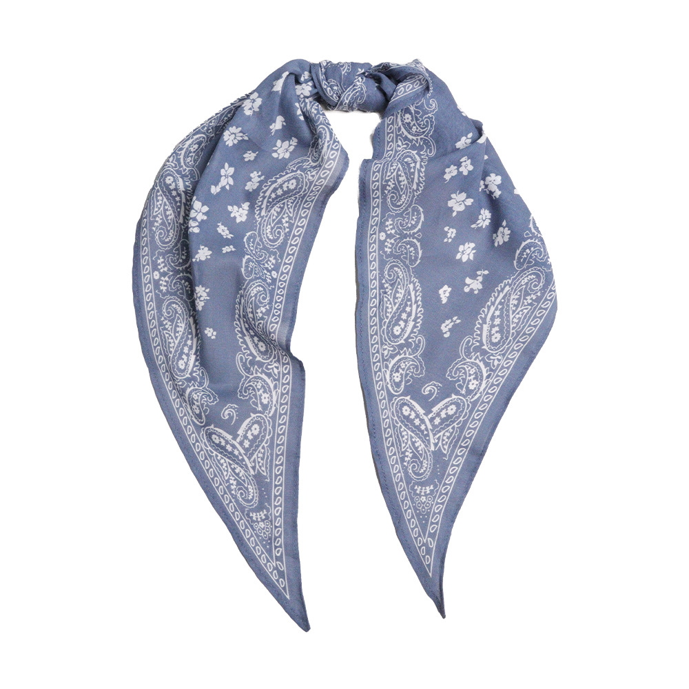 743059609802e0538bfb458919c269