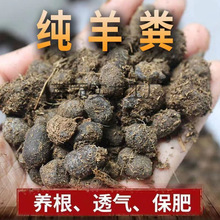 ����S���w���ЙC�l�͸�����S���B���N�ˠI�B���r�ҷ�ͨ�ßo��ζ