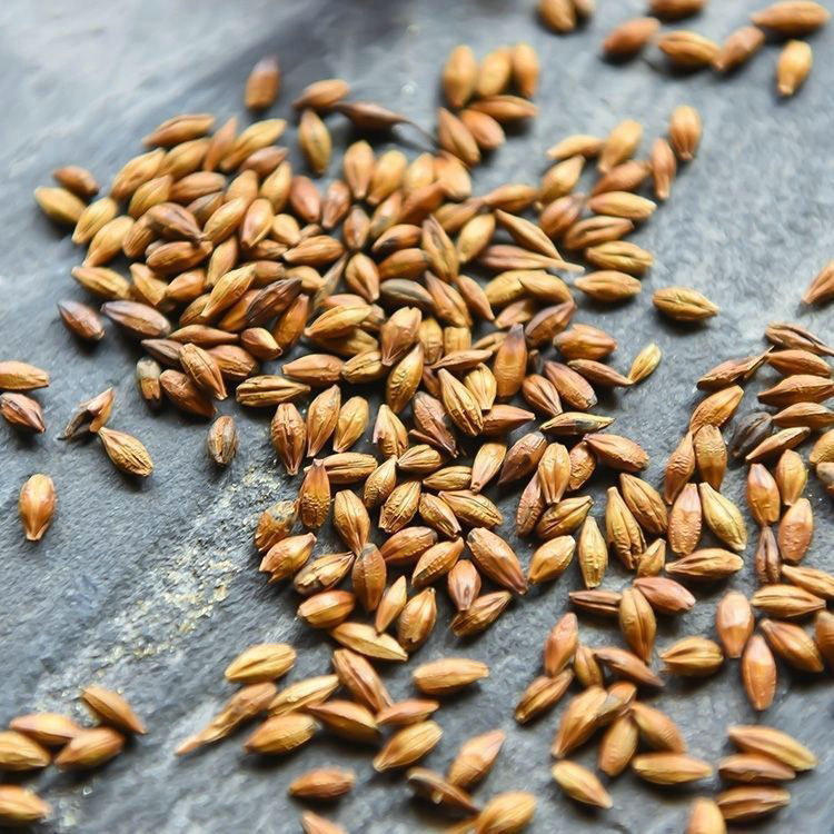 ����ʽ�����ɢװ����ԭ��ɢ����������������̳��Ƶ��û���