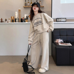女童秋季新款套装2025中大童洋气春秋休闲印字母卫衣直筒裤两件套