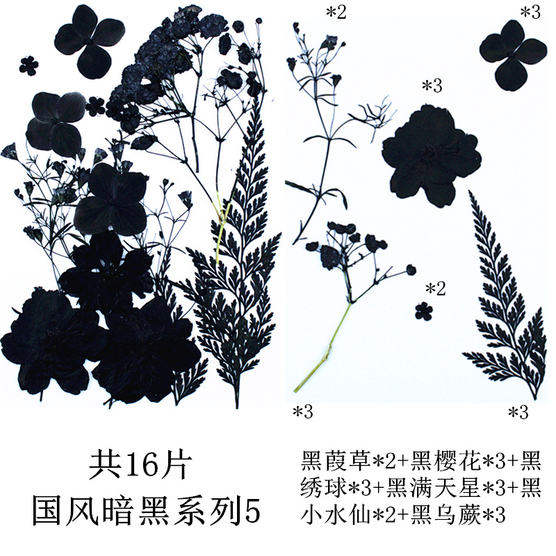 내셔널 스타일 다크 시리즈 5