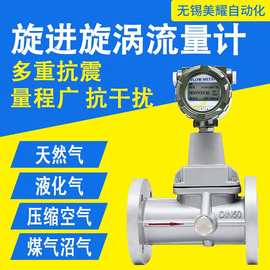 旋进旋涡流量计气体涡轮旋涡流量表智能防爆不锈钢天燃气煤气氮气