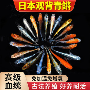 �^�����F�^�p�~���~��ˮ��ˮ�^�p�~�籬��С�~�ͻ���B�ᎧС���~