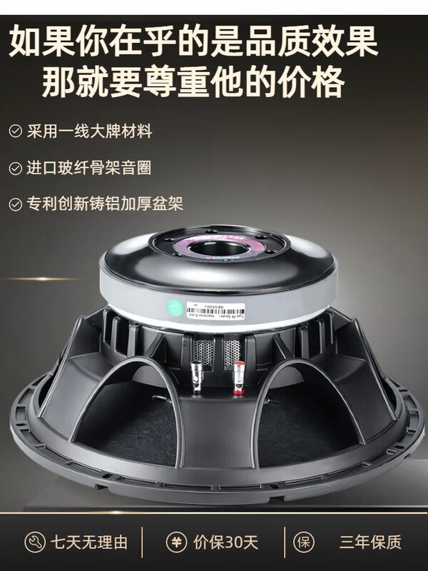 15-Inch 220 Magnetic 100 Core 1000 Watt High-Power Outdoor Performance Full-Range Speaker Subwoofer