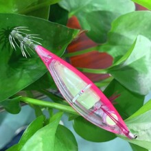 ľ�r���~�h ����D �D���� �؃r 10cm�A���~9.5G ·���D ���r