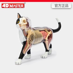 4D MASTER؈�����t�W�̌Wģ�ͽ��ʃ��K��������ƴ�b�[��