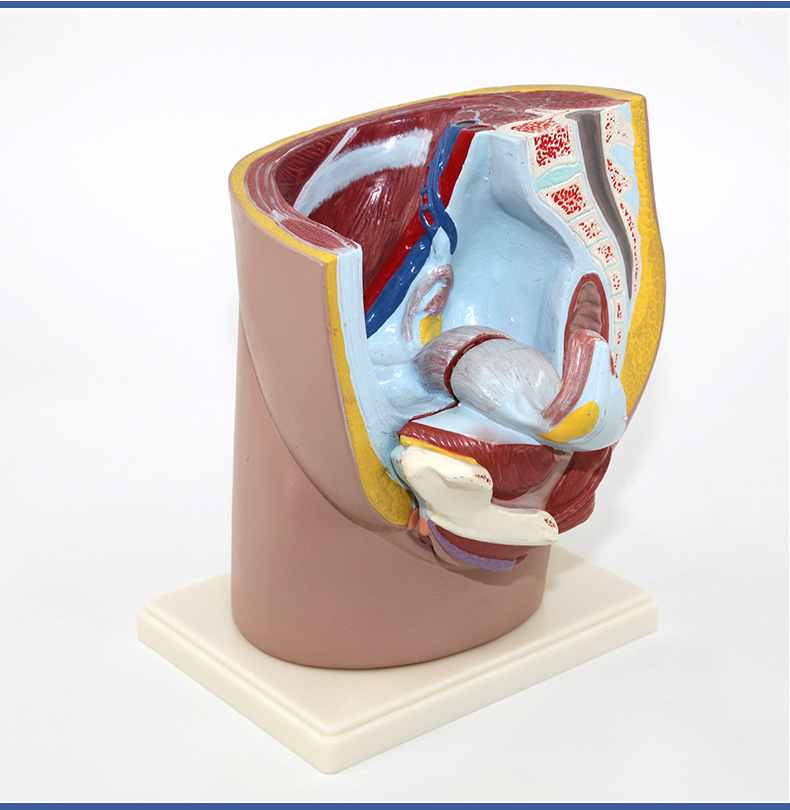 O1CN01hWVDmi2Kk6XhX4CGX_!!3578