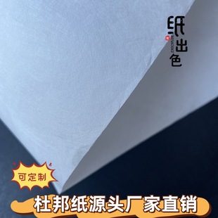 US DuPont Paper Raw Material: Tyvek Hard Breathable Tear Resistance