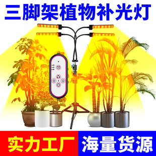 Qianrun Lighting Plant Growth Lamp Led Indoor Tripod Plant Lamp Full Spectrum Floor-Standing Succulent Fill Light