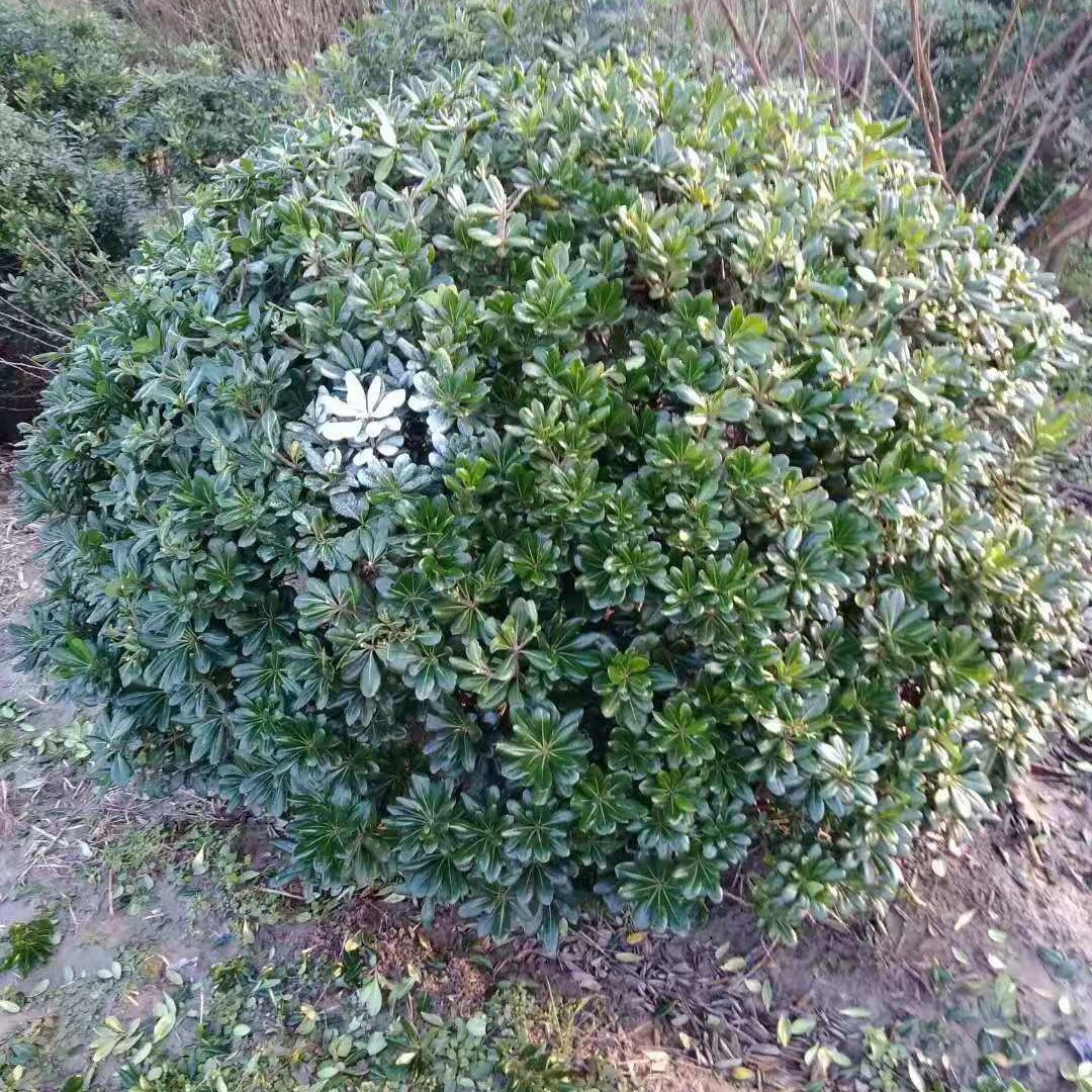 2024-03-26 20:42:38.jpg