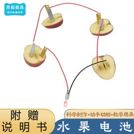 厂家直销代发科技小制作水果发电diy拼装材料幼儿园科学实验批发