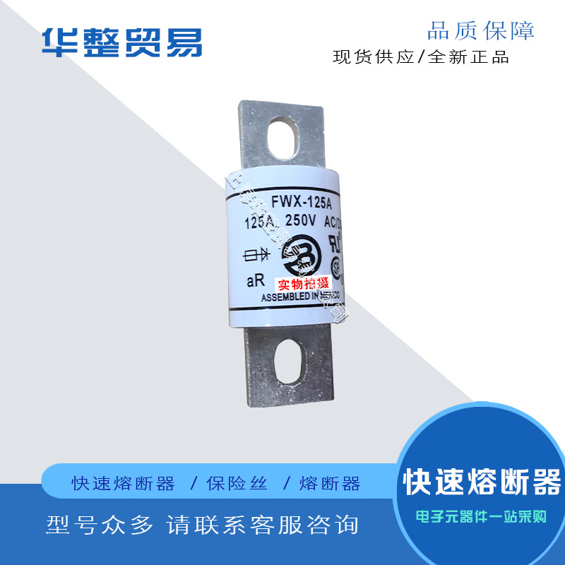 原装进口巴斯曼熔断器FWX-175A   FWX-200A  FWX-225A现货速发
