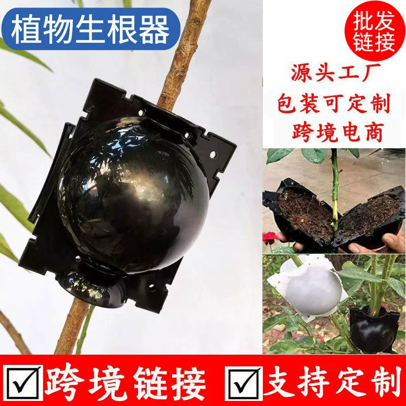 Коробка для прививки высокого давления растения черенки прививки высокого давления