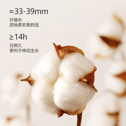 Thermal underwear for women, gold velvet autumn and winter new couple set, slim fit German velvet round neck, men's plus velvet autumn clothes and autumn trousers