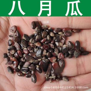 �羳��ľ�N�� ���¹ϷN�� ţ���ӹ� ����ը�N�� ���¹Ϙ� 1��=1��