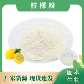 柠檬粉 柠檬果粉 水溶柠檬汁粉 柠檬提取物 厂家现货1KG 包邮