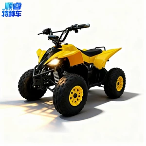 Uşaqlar üçün Elektrik Çimərlik Off-Road ATV, Dörd Təkərli Motosiklet