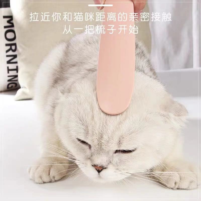고양이 혀 빗질 고양이 빗질 마사지 브러시 가시 빗과 고양이 빗질 제거 부동 헤어 브러시 제거 영국 짧은 고양이 제모