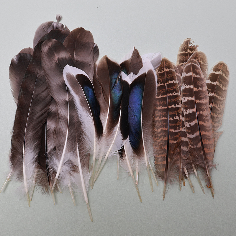 Fábrica al por mayor de bricolaje plumas pequeñas plumas naturales plumas de pollo salvaje plumas de pato jardín de infantes joyas hechas a mano gato divertido material de captura de sueños