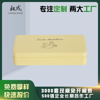 通用长方体马口铁盒 糕点礼品金属收纳盒 马口铁包装盒定制工厂