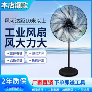 Industrial Fan Electric Fan Powerful Floor Fan Horn High Power Wind Formaldehyde Removal Factory Wall-Mounted Wall Fan