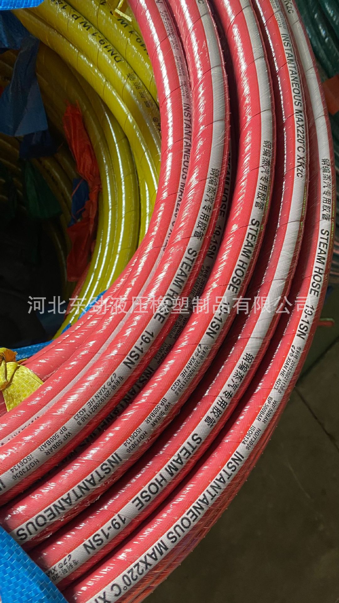 עܻ¯ѹsteam hose 220͸