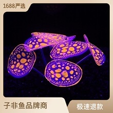 Sl~bƷzܛwɺɹЧ̖쾰辰