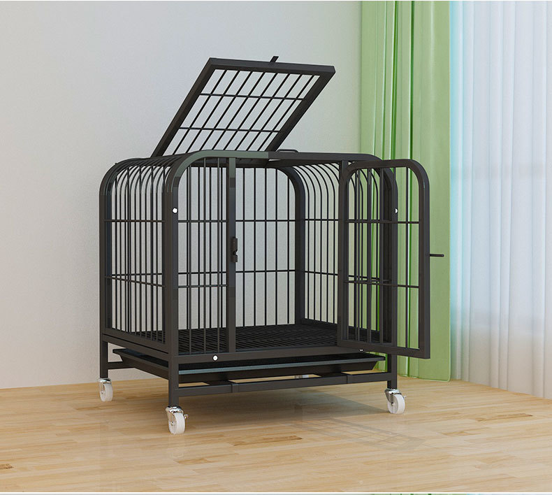 b85472bc-28d5-4f49-8d6e-16de84a5a6b7.jpe