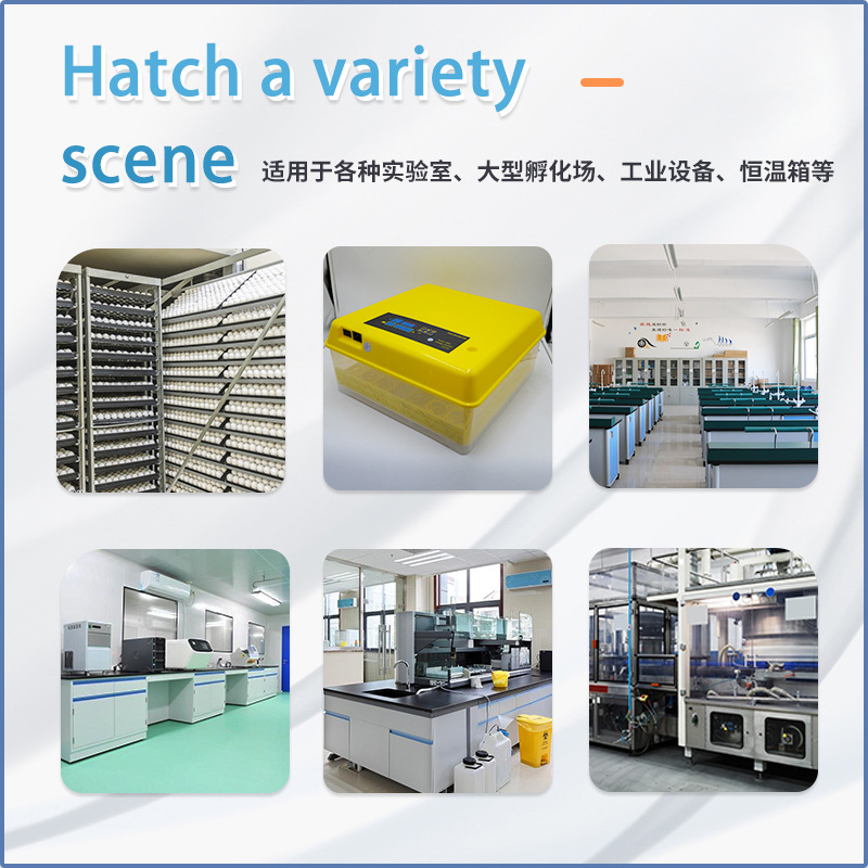 Incubadora completamente automática termostato XM-18D pollo pato ganso incubadora controlador transfronterizo accesorios de la incubadora de exportación