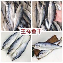王祥鱼干 地摊电商批发北海马鲛鱼干王祥鱼干干鱼