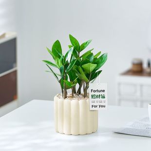 ���X�������҃�ֲ����ؔ�k��������Gֲ�X���ӿ͏d�[��