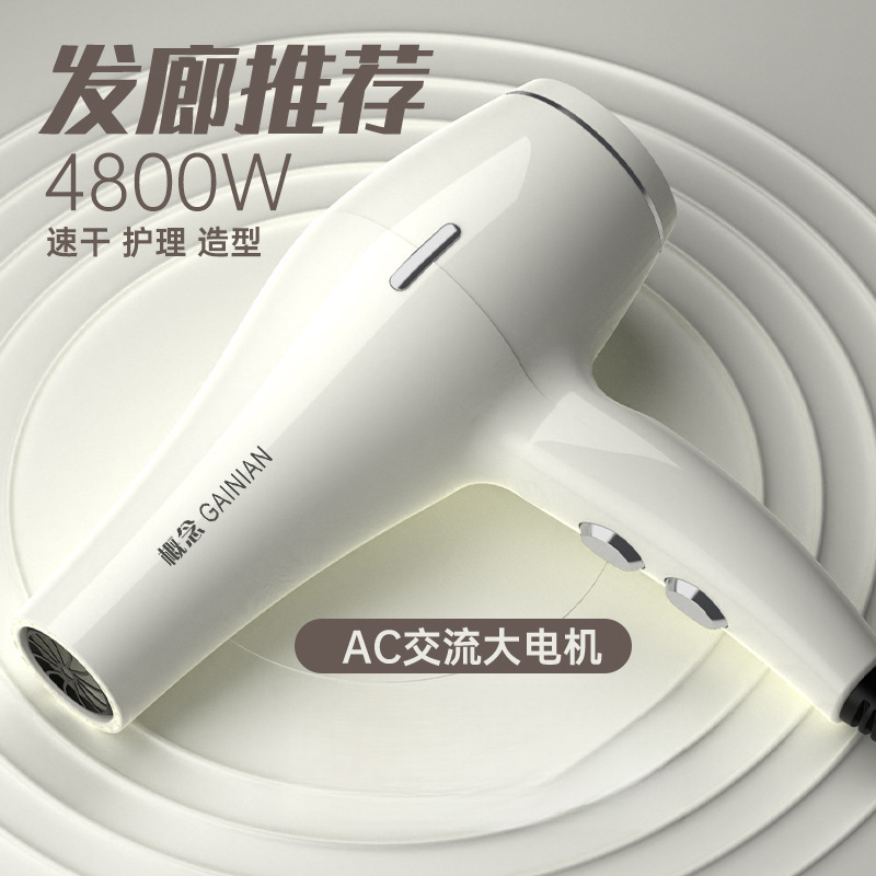 Hair Salon Hair Dryer Household Negative Ion Hair Care High Wind Hairstylist Special High Power Quick Drying Hot and Cold Air Dryer