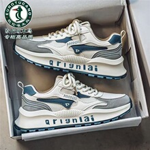 �W����ľ�B�p���\��Ь��2026�ļ��¿�W��͸���װٴ����e�ϵ�Ь