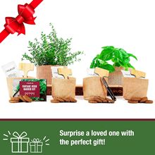 ���R�d �������羳�N��ˮ���ռ{������ֲ����������l��*��