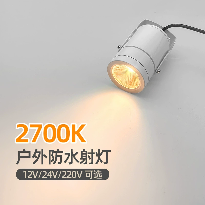 2700K Вставьте лампу из грязевого дерева светильники наружные светильники 12V наружные светильники наружные светильники наружные светильники наружные светильники наружные огни ландшафтные огни белые рекламные объявления