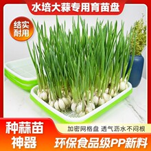 ����Pѿ����̨�N����ˮ���߲˶�ѿ�o��������С������Nֲ�бP