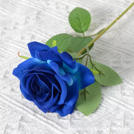 Velvet Corner Rose (Blue)