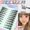 10 pai hu xi segmented ресницы