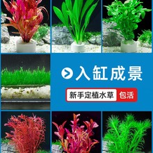 ˮ���b��~���쾰�ײ����ˮ������ˮ�m��ݻ�ɽʯˮ��ֲ��