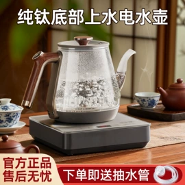 电茶炉;电热水壶;养生壶