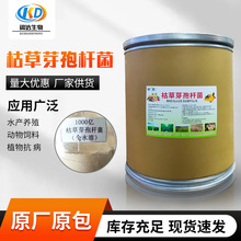 枯草芽孢杆菌 微生物水产养殖农用益生菌EM菌枯草芽孢杆菌