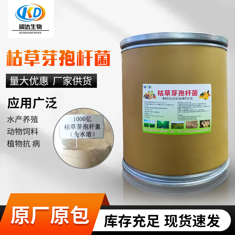 枯草芽孢杆菌 微生物水产养殖农用益生菌EM菌枯草芽孢杆菌