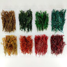 ��֦����ǧ�ӽ�ɻ�DIY�~��ϲ��Ո�����ֶY���b��׃��@�ֹ�����