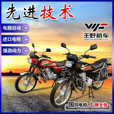 Brand New Original 150 Motorcycle Wangye Brand Wy150-5E National Iv Efi Can Be Licensed Load King Motorcycle