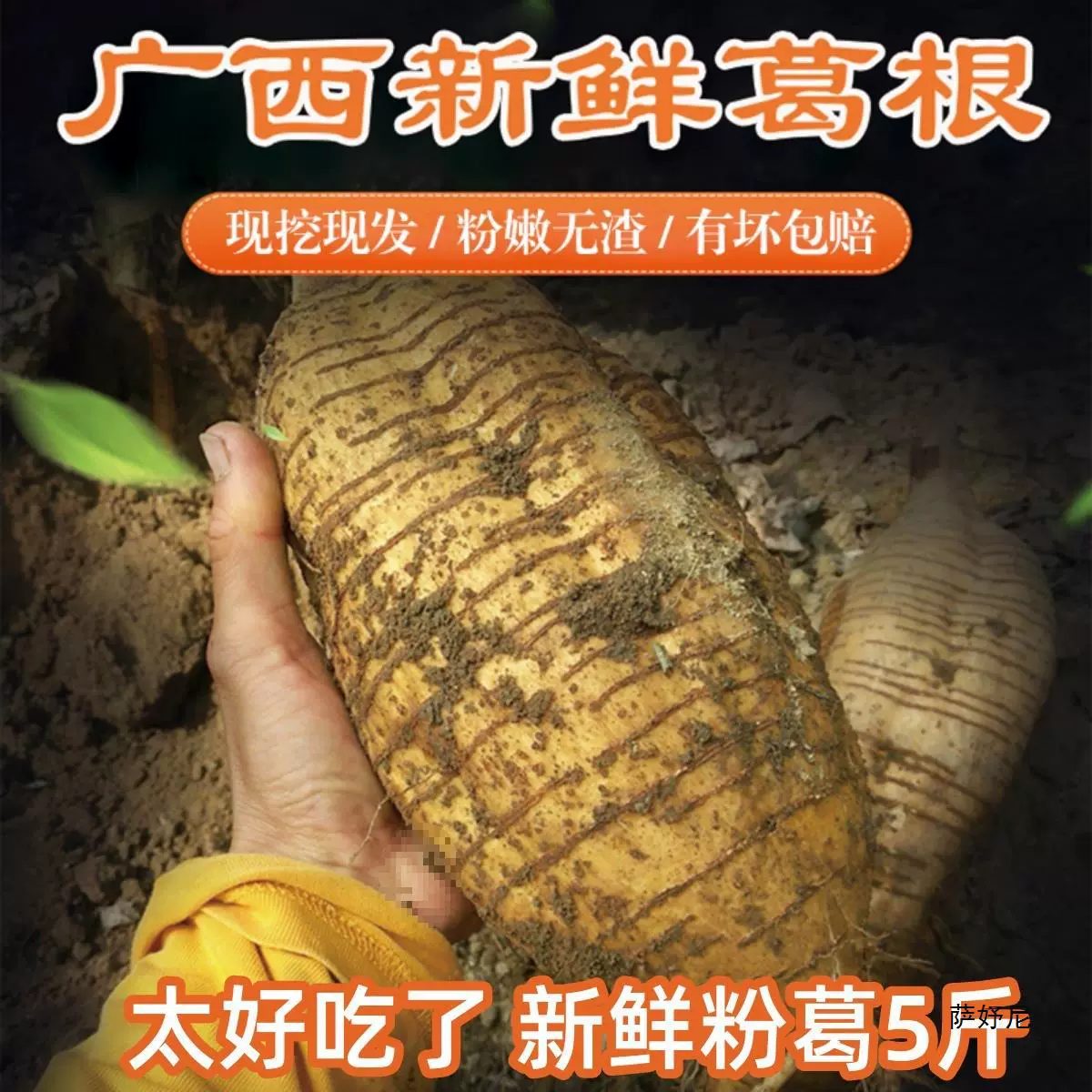 Свежий корень кудзу из Гуанси, мирный порошок кудзу, без остатков, свежеобнаруженный дикий корень кудзу из Гуандуна, подходит для супа и облегчения похмелья, 2.5kg г., бесплатная доставка.