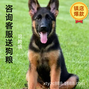 ���l���N������Ȯ���w����Ȯ�ڱ�����Ȯ��Ȯ܊Ȯ����
