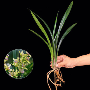 �m���玧����ī�m�m�����Ի���ֲ���҃Ȼ������߅���m�ļ��m���F