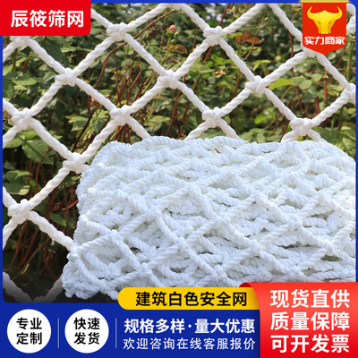 安全网白色建筑工地防坠网平网楼梯防护网货车货柜兜网尼龙绳网|ru
